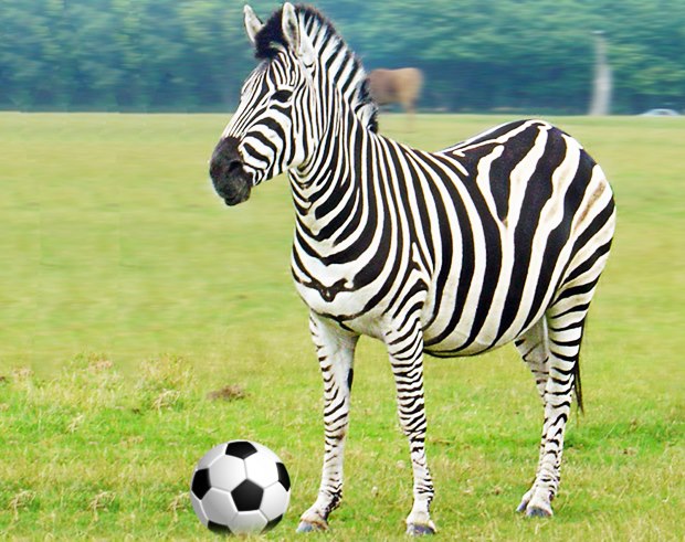 Oitavas de final não tiveram zebras. Quais foram as zebras da Copa?
