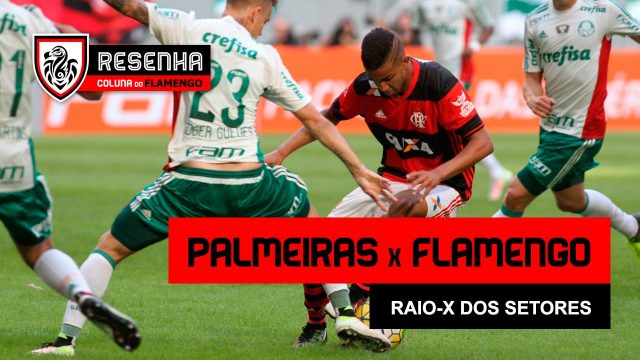 Resenha: “Palmeiras x Flamengo: Final antecipada?”