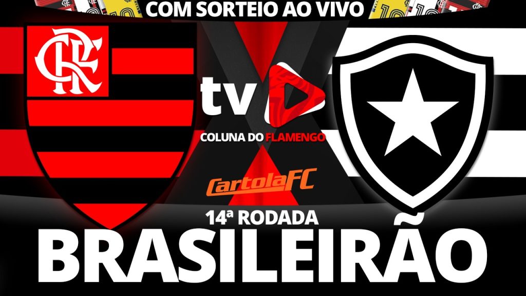 Assista Flamengo x Botafogo ao vivo com a TV Coluna do Flamengo