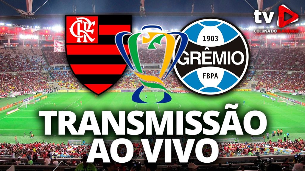 Assista Flamengo x Grêmio ao vivo com a TV Coluna do Flamengo