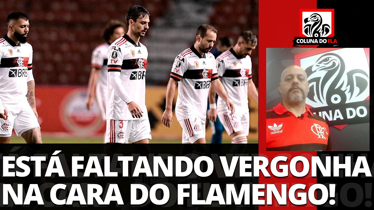 Eu fico encantado em ver o Flamengo jogar', diz comentarista da