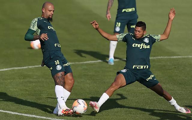 Jogadores do Palmeiras reforçam desejo de enfrentar o Flamengo