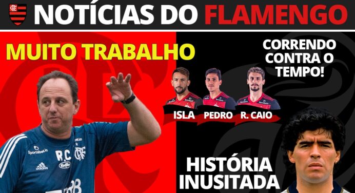 AO VIVO | Jogo adiado, Flamengo se reapresenta e tenta ‘reforços’ para a Libertadores