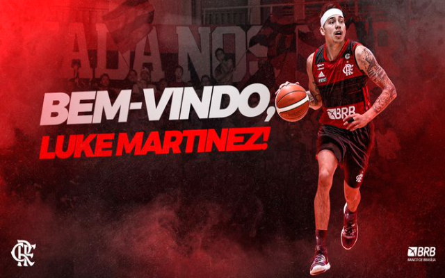 Flamengo: um projeto estruturado para conquistar títulos – Liga Nacional de  Basquete