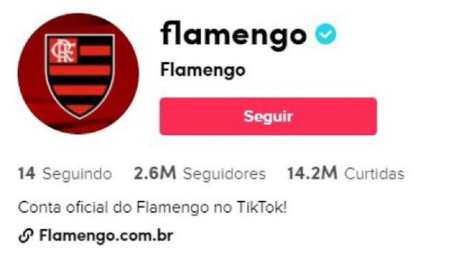 Flamengo domina ‘nova’ rede social e é líder em interação entre clubes da América