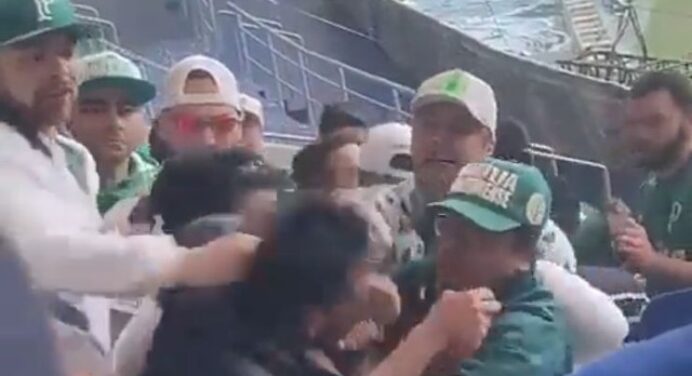 Flamenguista solitário é agredido por torcedores do Palmeiras na arquibancada do Allianz Parque