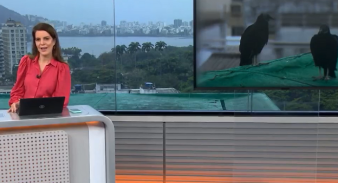 Apresentadora da TV Globo deseja ‘sorte’ ao Flamengo e aposta em placar para final da Copa do Brasil
