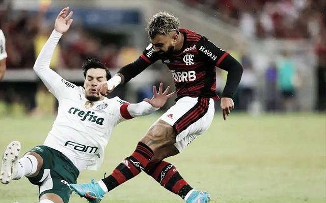 Pacotes especiais para jogo contra Flamengo no Mané Garrincha pela  Supercopa do Brasil – Palmeiras