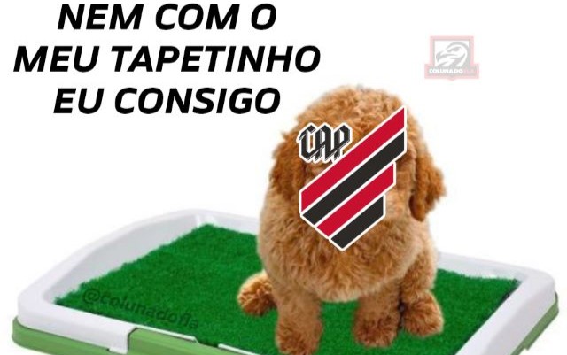 Flamengo atropela o Atlético-MG, abre oito pontos na liderança, e  torcedores fazem a festa; veja memes - Coluna do Fla