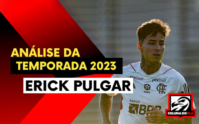 Erick Pulgar no Flamengo