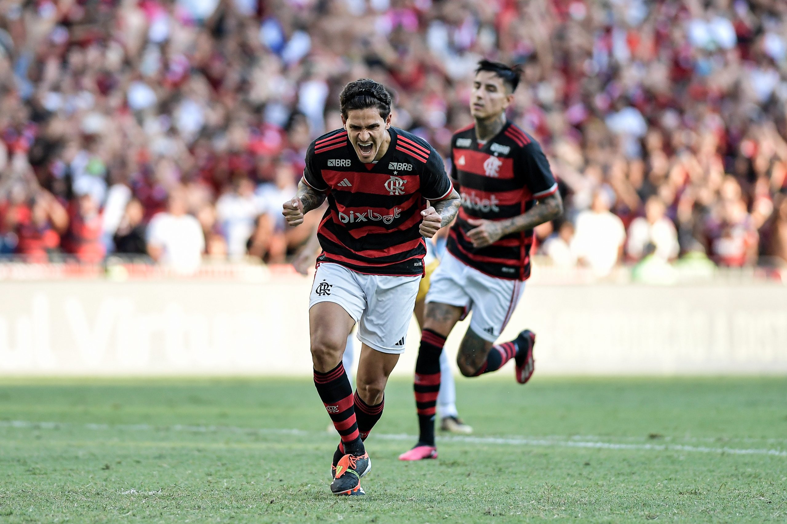 Palpite Bangu x Flamengo - Odds, Dicas e Prognósticos - 15/02/2024