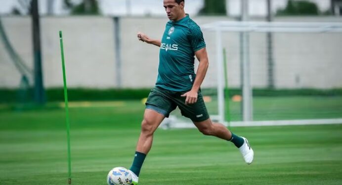 Ex-atacante do Flamengo, Leandro Damião é anunciado por time da Série B