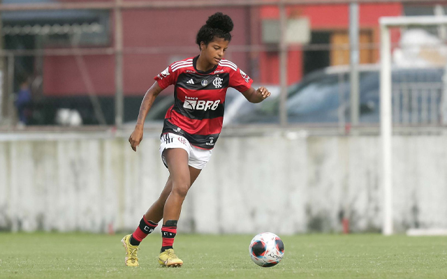 Flamengo no Brasileirão Sub-20