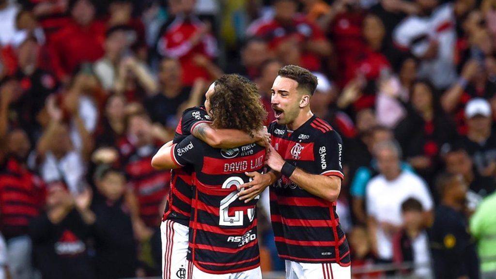 Título do Brasileirão e vaga na Libertadores: veja as chances matemáticas do Flamengo