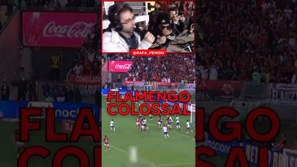 GOL DA VITÓRIA! SEGUE O LÍDER! – FLAMENGO 2X0 CRUZEIRO