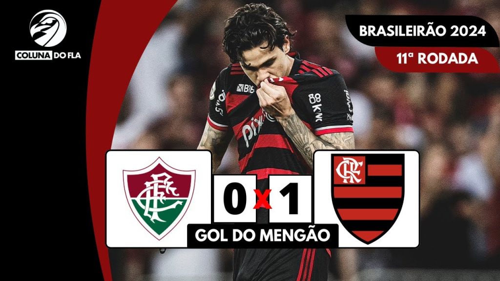 FLUMINENSE 0X1 FLAMENGO – GOL DA PARTIDA – NARRAÇÃO RAFA PENIDO | BRASILEIRÃO 2024