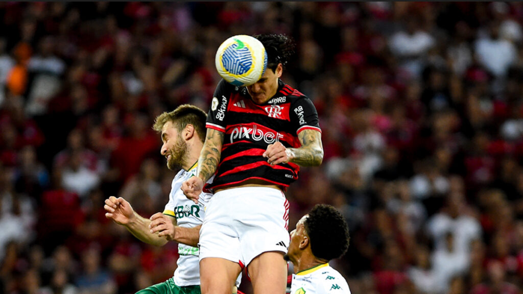 Pedro participou de 44% dos gols do Flamengo em 2024