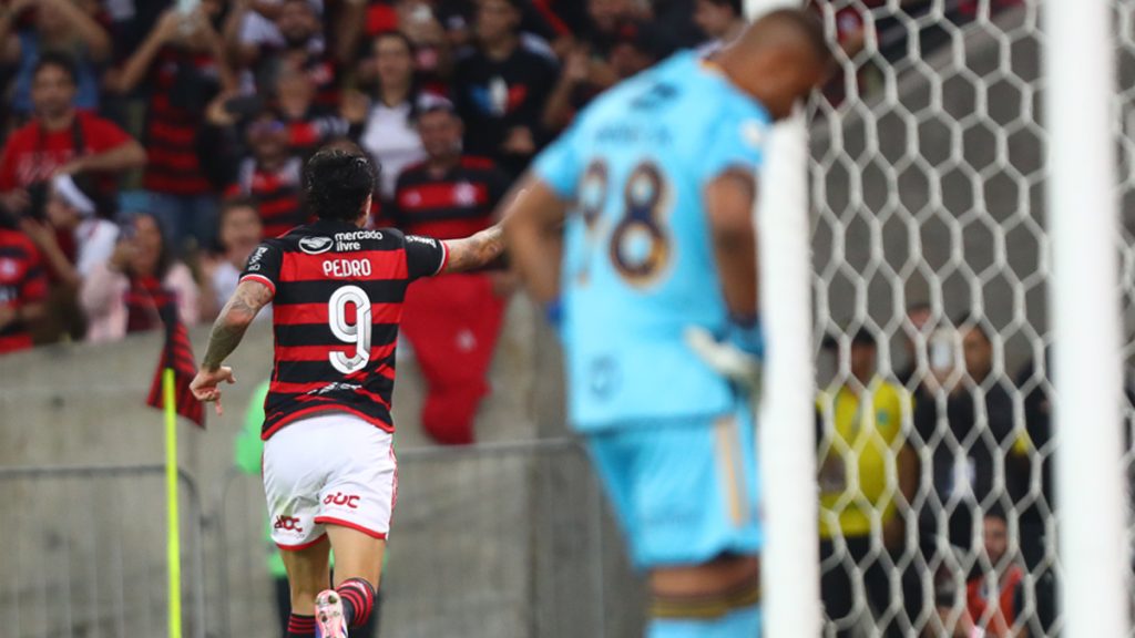 Brasileirão - Flamengo e Cruzeiro