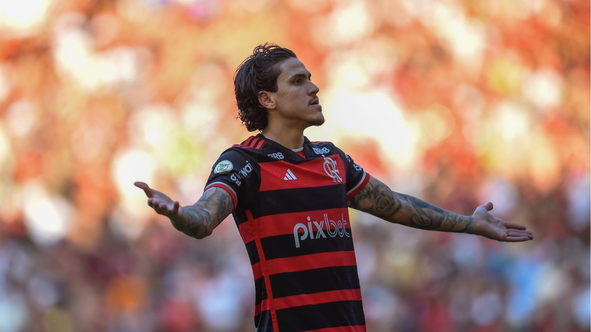 Pedro Flamengo