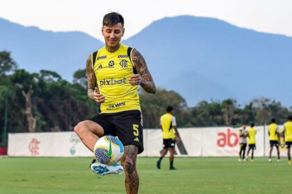 Erick Pulgar Flamengo