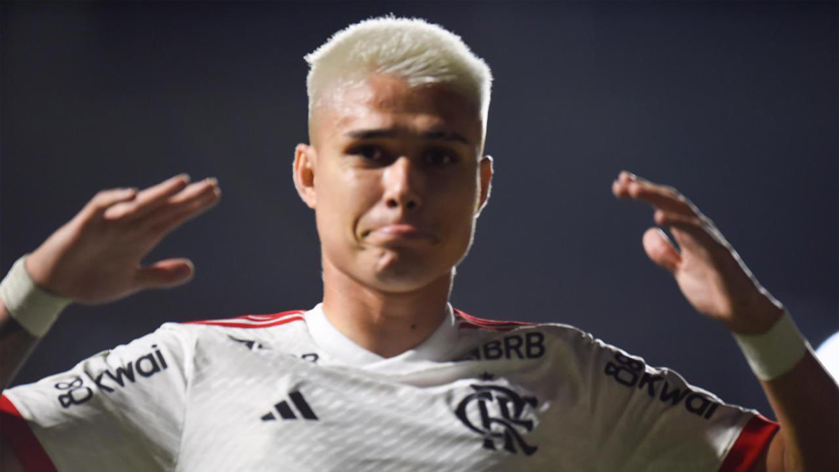 Luiz Araújo Flamengo