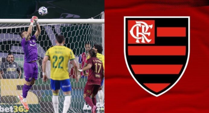 Goleiro do Fluminense provoca torcida do Palmeiras após ‘ajudar’ o Flamengo