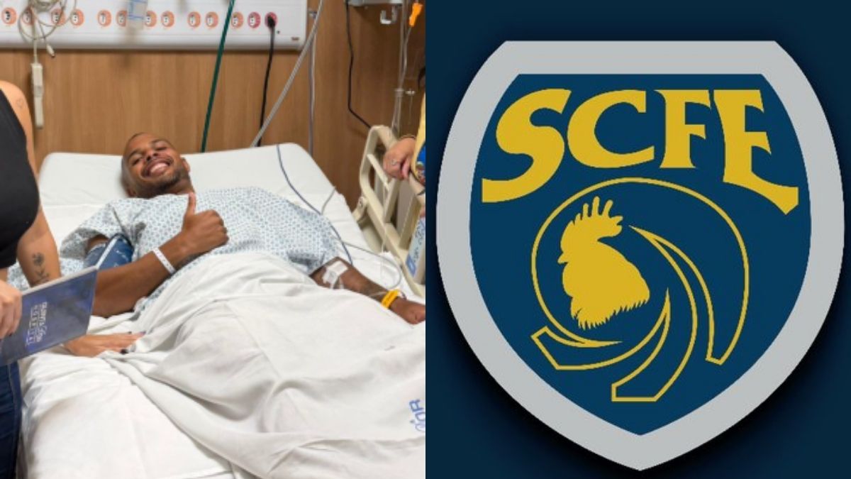 image para ilustrar o artigo