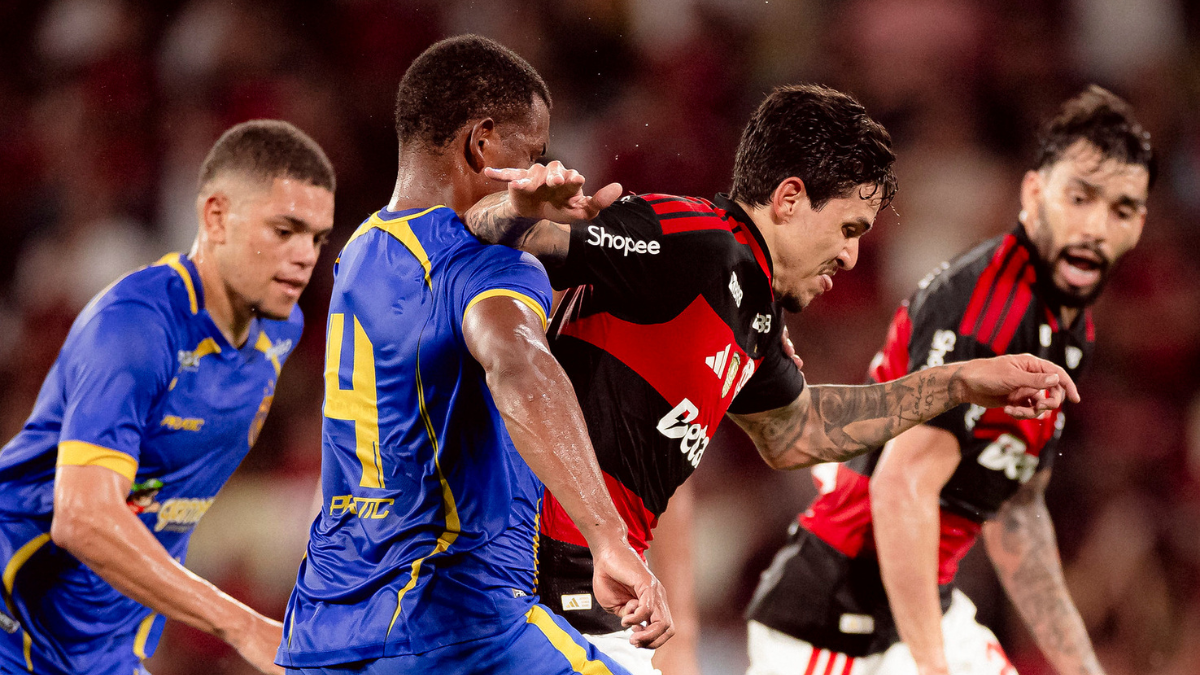 image para ilustrar o artigo